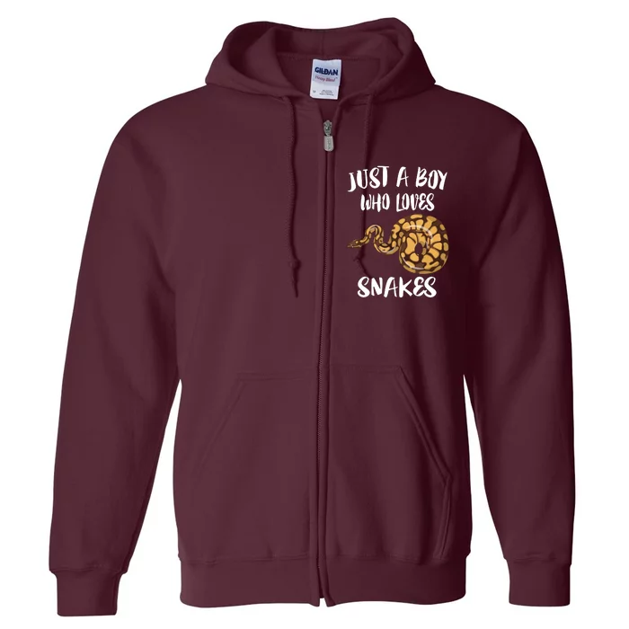 Just A Boy Who Loves Snakes Animal Full Zip Hoodie