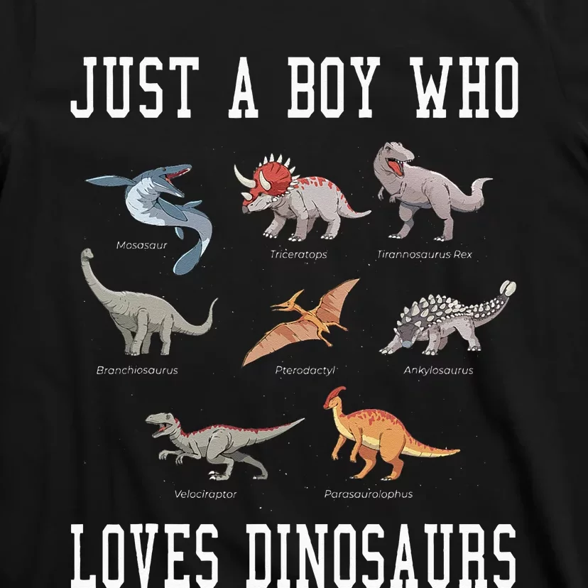 Just A Boy Who Loves Dinosaurs Gifts For Paleontologist T-Shirt