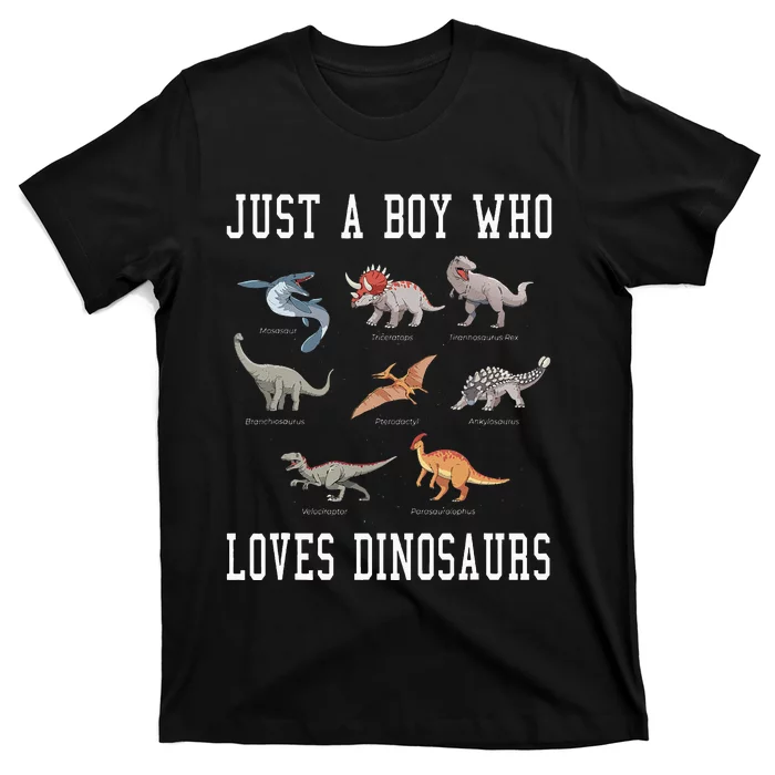 Just A Boy Who Loves Dinosaurs Gifts For Paleontologist T-Shirt