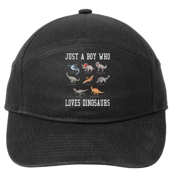 Just A Boy Who Loves Dinosaurs Gifts For Paleontologist 7-Panel Snapback Hat