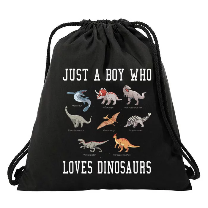 Just A Boy Who Loves Dinosaurs Gifts For Paleontologist Drawstring Bag