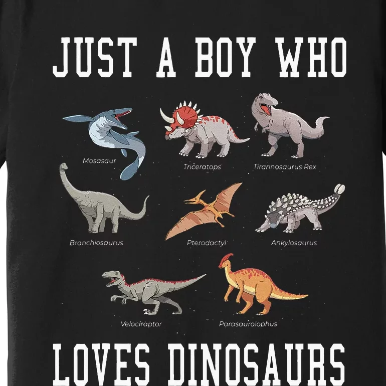 Just A Boy Who Loves Dinosaurs Gifts For Paleontologist Premium T-Shirt