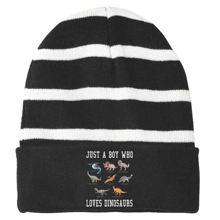 Just A Boy Who Loves Dinosaurs Gifts For Paleontologist Striped Beanie with Solid Band