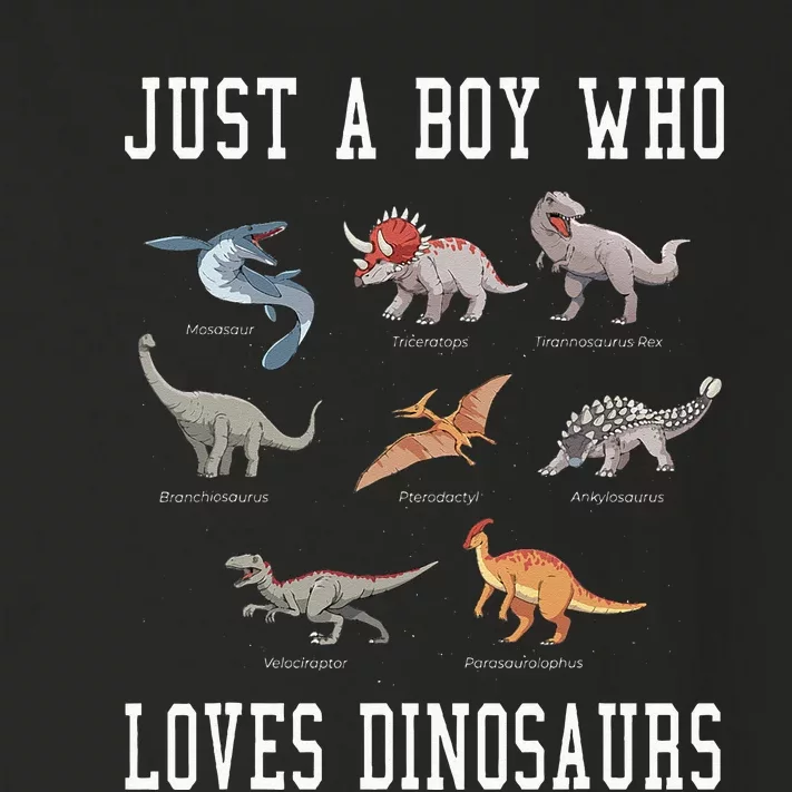 Just A Boy Who Loves Dinosaurs Gifts For Paleontologist Toddler Long Sleeve Shirt