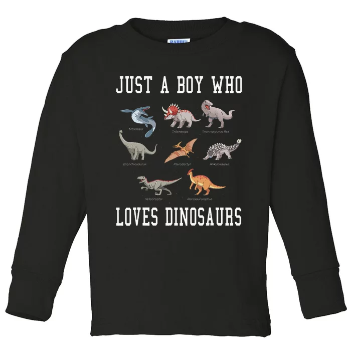 Just A Boy Who Loves Dinosaurs Gifts For Paleontologist Toddler Long Sleeve Shirt