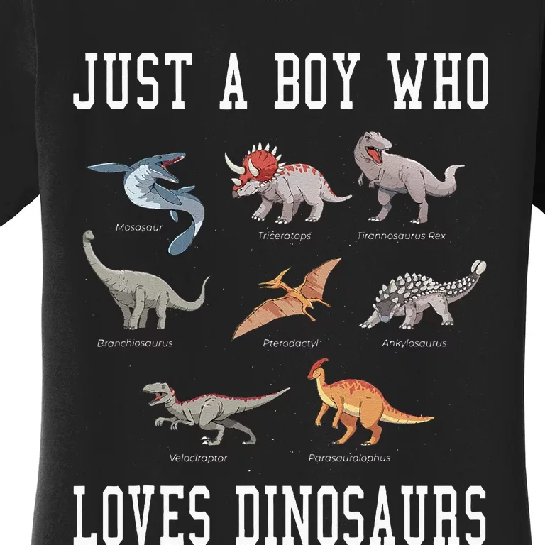 Just A Boy Who Loves Dinosaurs Gifts For Paleontologist Women's T-Shirt