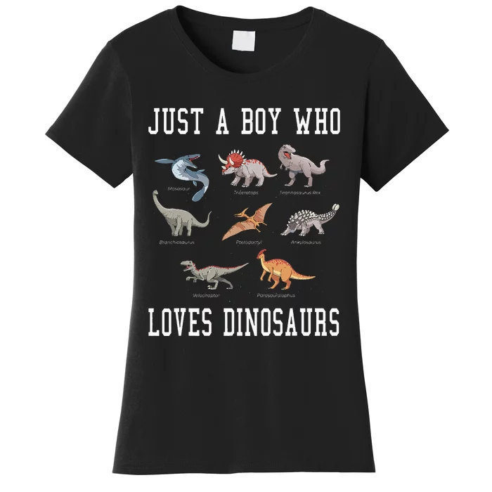 Just A Boy Who Loves Dinosaurs Gifts For Paleontologist Women's T-Shirt