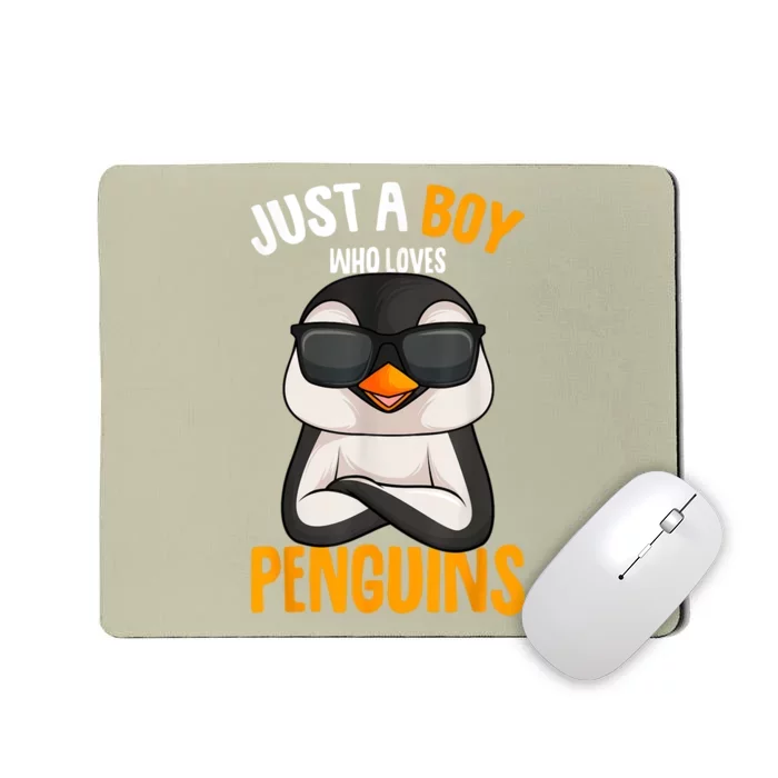 Just A Boy Who Loves Penguins Penguin Mousepad