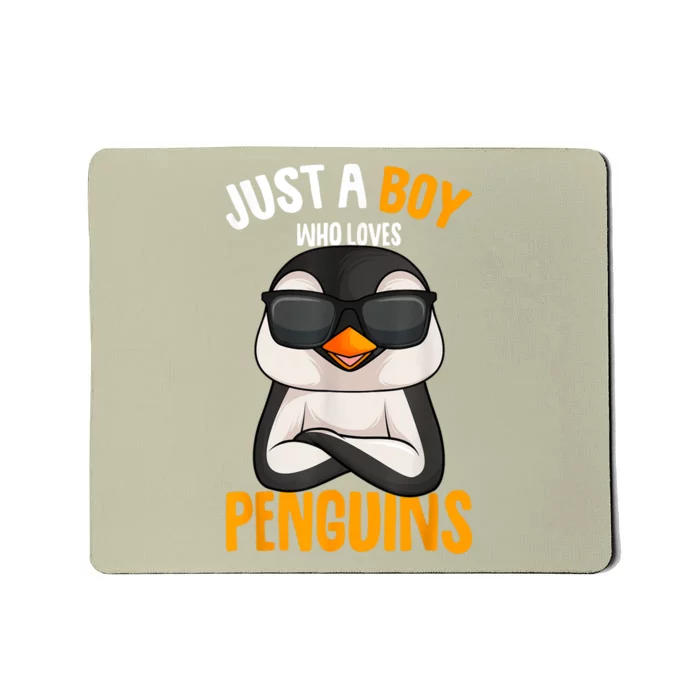 Just A Boy Who Loves Penguins Penguin Mousepad