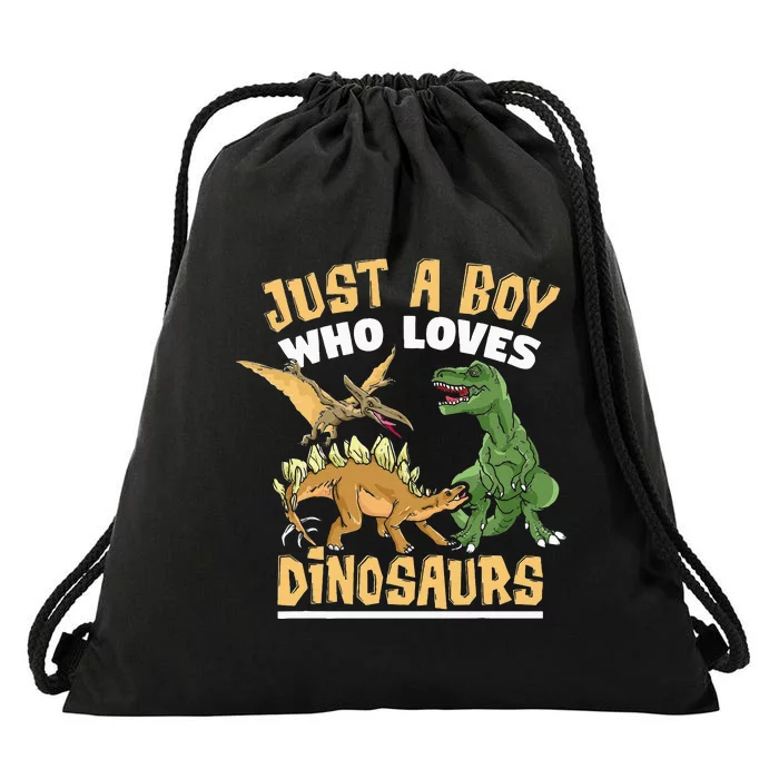 Just A Boy Who Loves Dinosaurs Schoolboys And Paleontologist Drawstring Bag