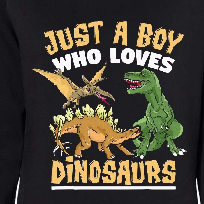 Just A Boy Who Loves Dinosaurs Schoolboys And Paleontologist Womens California Wash Sweatshirt