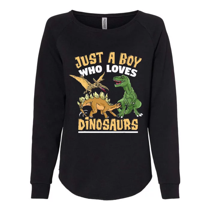 Just A Boy Who Loves Dinosaurs Schoolboys And Paleontologist Womens California Wash Sweatshirt