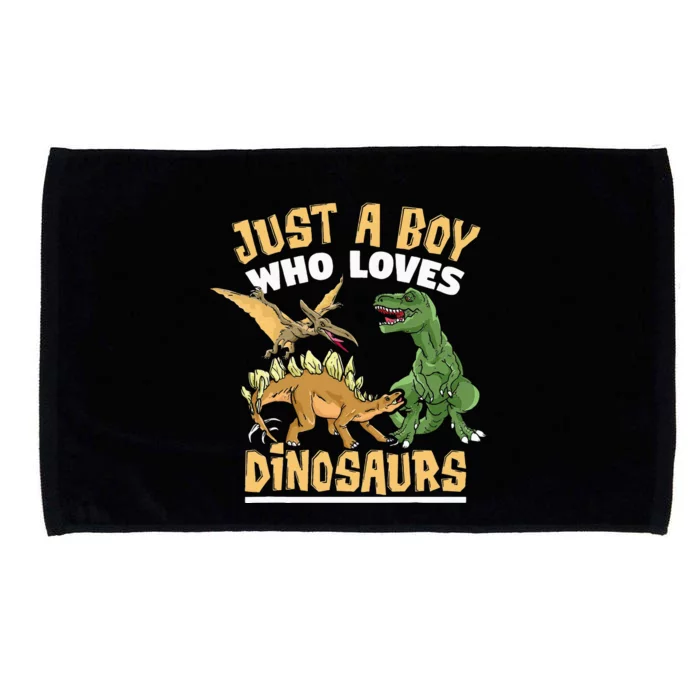 Just A Boy Who Loves Dinosaurs Schoolboys And Paleontologist Microfiber Hand Towel