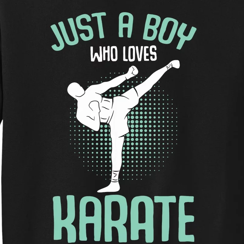 Just A Boy Who Loves Karate Boy Sweatshirt