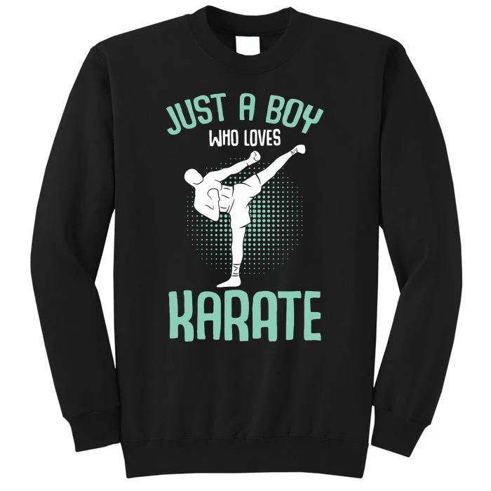 Just A Boy Who Loves Karate Boy Sweatshirt