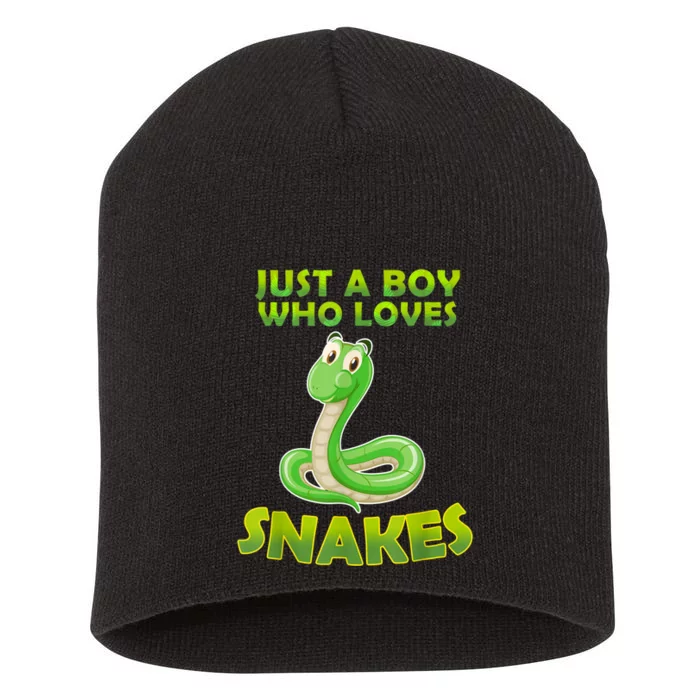 Just A Boy Who Loves Snakes Snake Lover Gift Short Acrylic Beanie