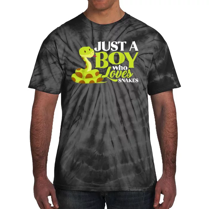 Just A Boy Who Loves Snakes Funny Gift For Snake Lover Tie-Dye T-Shirt