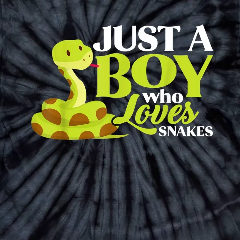 Just A Boy Who Loves Snakes Funny Gift For Snake Lover Tie-Dye T-Shirt