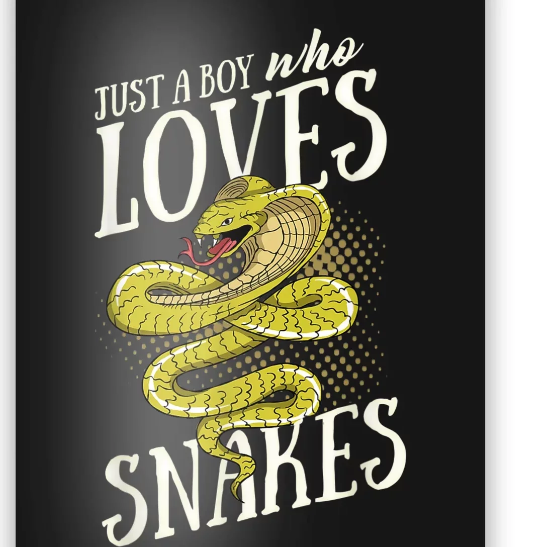 Just A Boy Who Loves Snakes Snake Lover Gift Poster