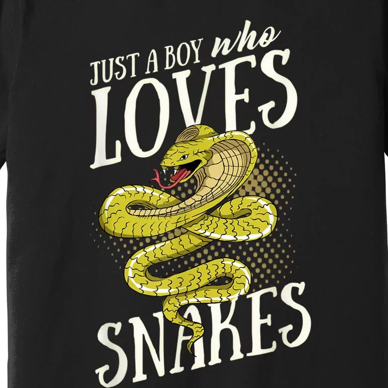 Just A Boy Who Loves Snakes Snake Lover Gift Premium T-Shirt