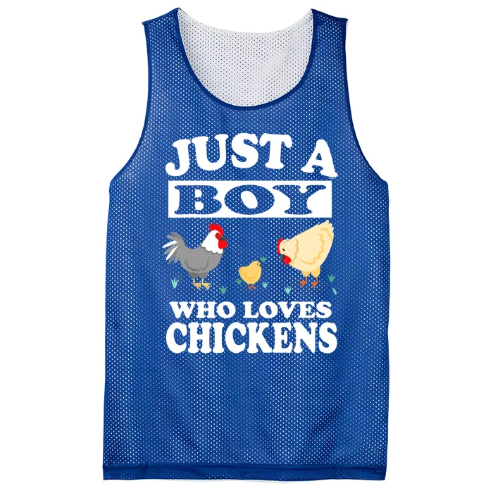 Just A Boy Who Loves Chickens Farm Chicken Gift Mesh Reversible Basketball Jersey Tank