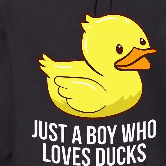 Just A Boy Who Loves Ducks Rubber Duck Premium Hoodie