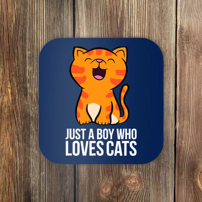 Just a Boy Who Loves Cats Coaster