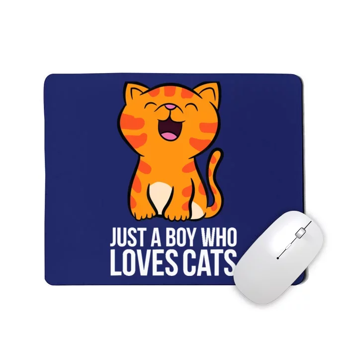 Just a Boy Who Loves Cats Mousepad