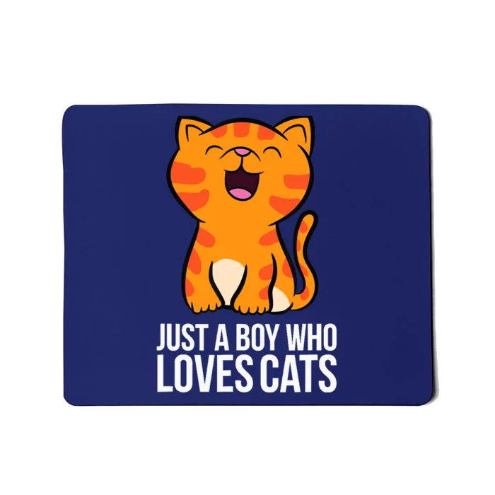 Just a Boy Who Loves Cats Mousepad