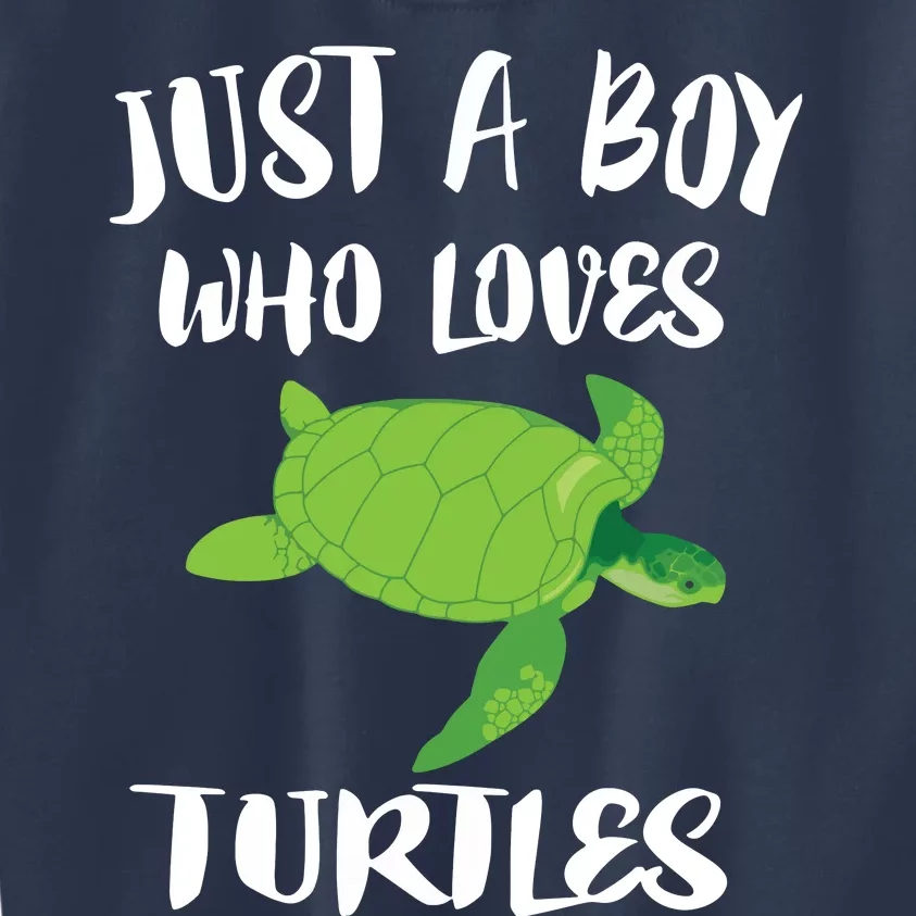 Just A Boy Who Loves Sea Turtles Ocean Animal Gift Kids Sweatshirt