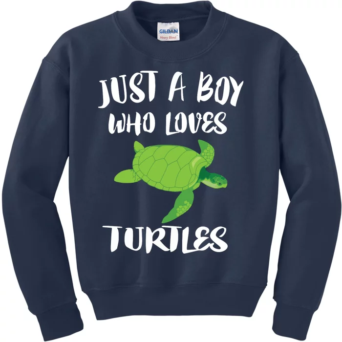 Just A Boy Who Loves Sea Turtles Ocean Animal Gift Kids Sweatshirt