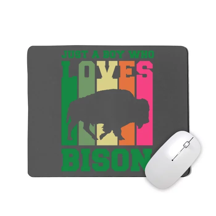 Just A Boy Who Loves Bison Mousepad