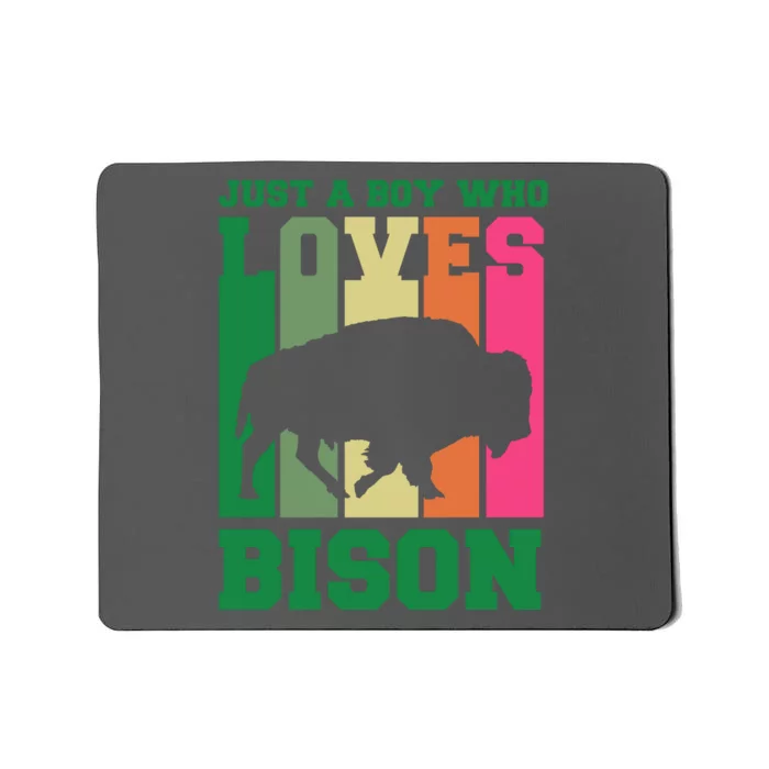 Just A Boy Who Loves Bison Mousepad