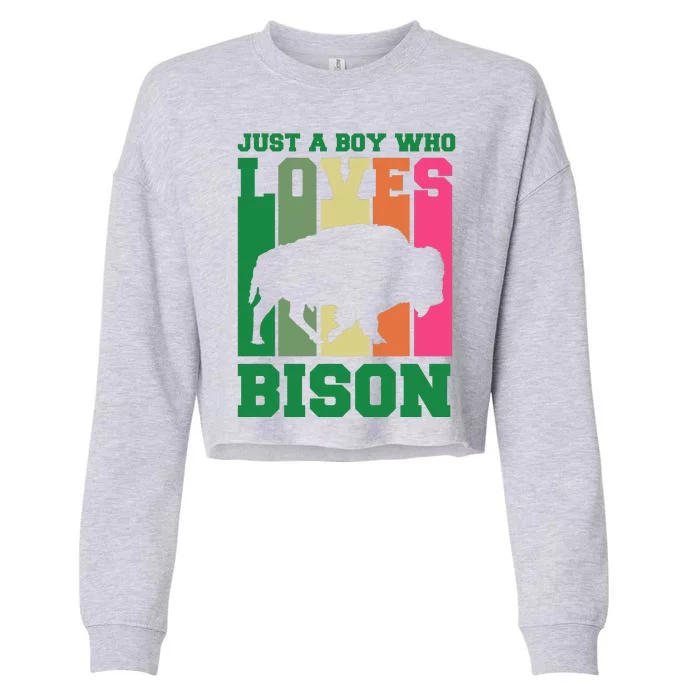 Just A Boy Who Loves Bison Cropped Pullover Crew