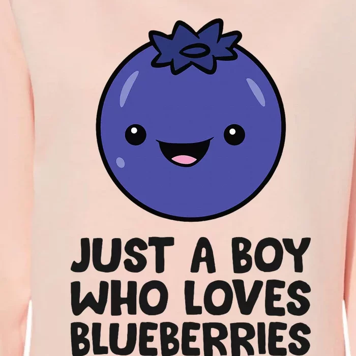 Just A Boy Who Loves Blueberries Womens California Wash Sweatshirt