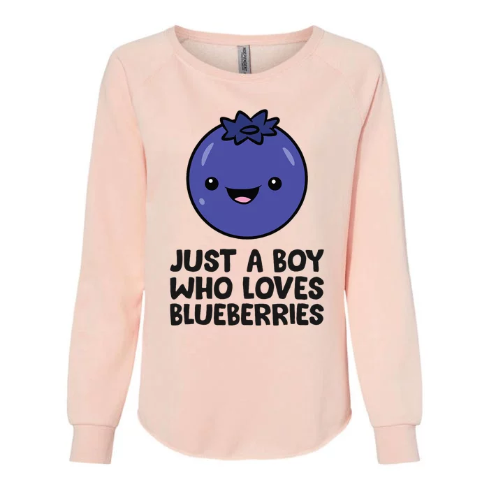 Just A Boy Who Loves Blueberries Womens California Wash Sweatshirt