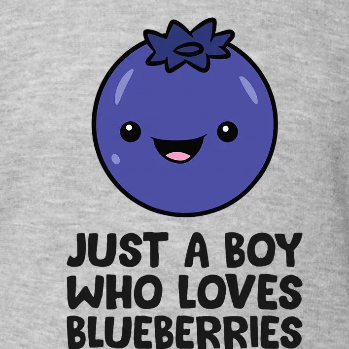 Just A Boy Who Loves Blueberries Toddler Sweatshirt