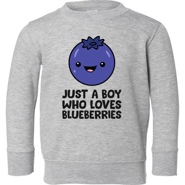 Just A Boy Who Loves Blueberries Toddler Sweatshirt