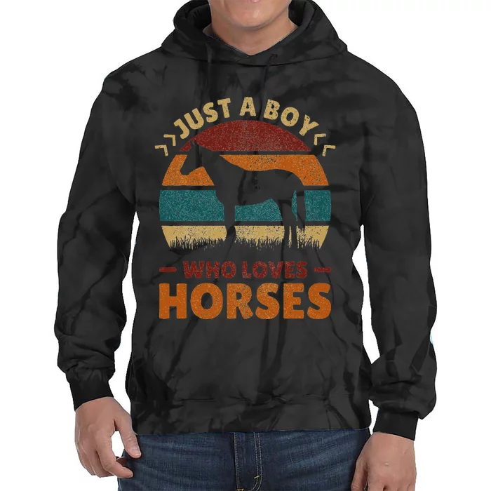 Just A Boy Who Loves Horses Horse Stuff Horse Lover Tie Dye Hoodie