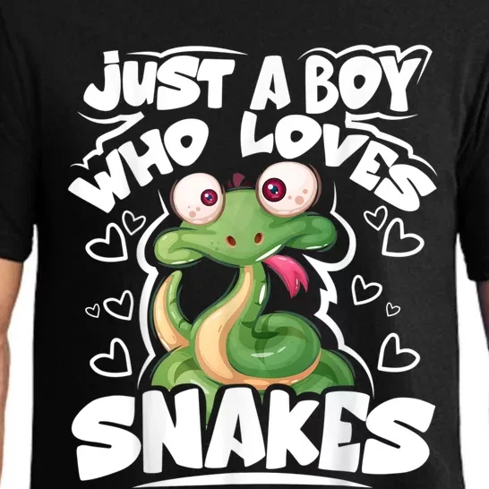 Just A Boy Who Loves Snakes Snake Lover Gift Pajama Set