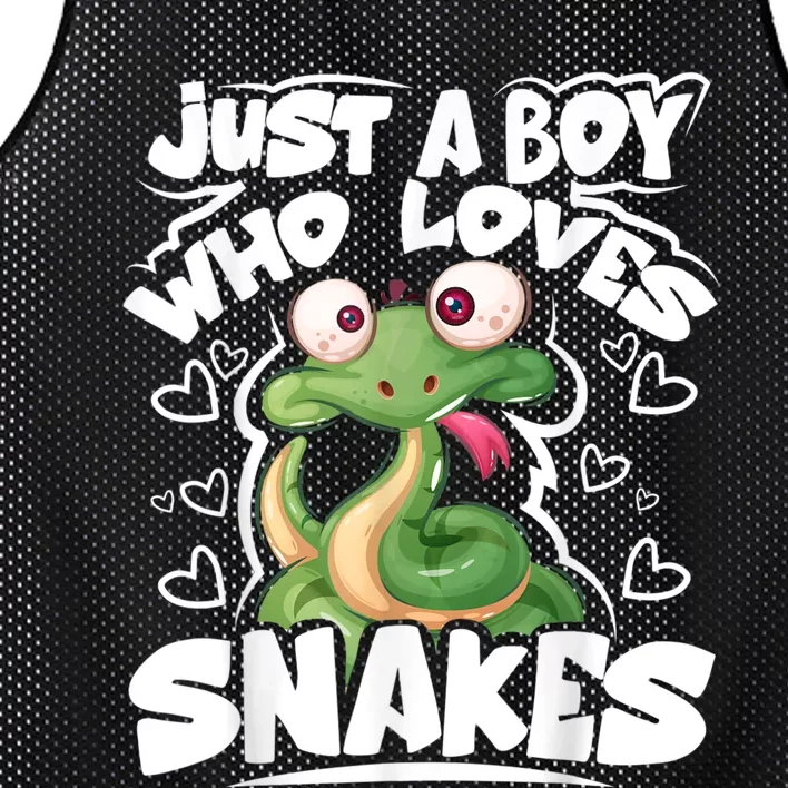 Just A Boy Who Loves Snakes Snake Lover Gift Mesh Reversible Basketball Jersey Tank