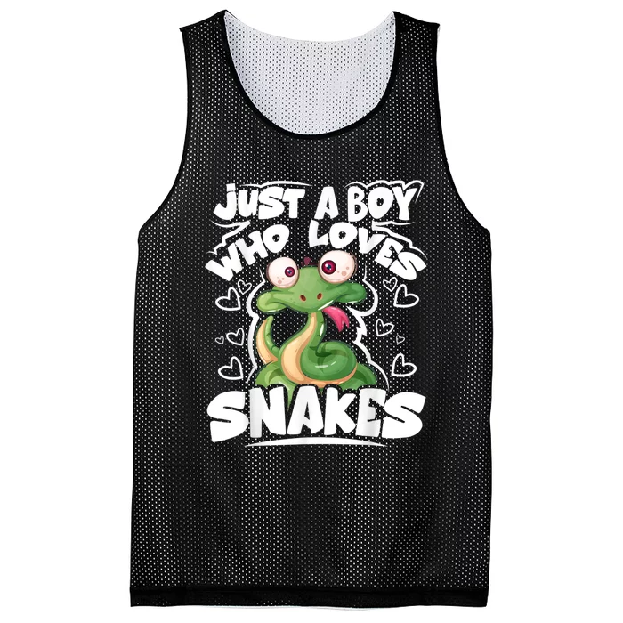 Just A Boy Who Loves Snakes Snake Lover Gift Mesh Reversible Basketball Jersey Tank