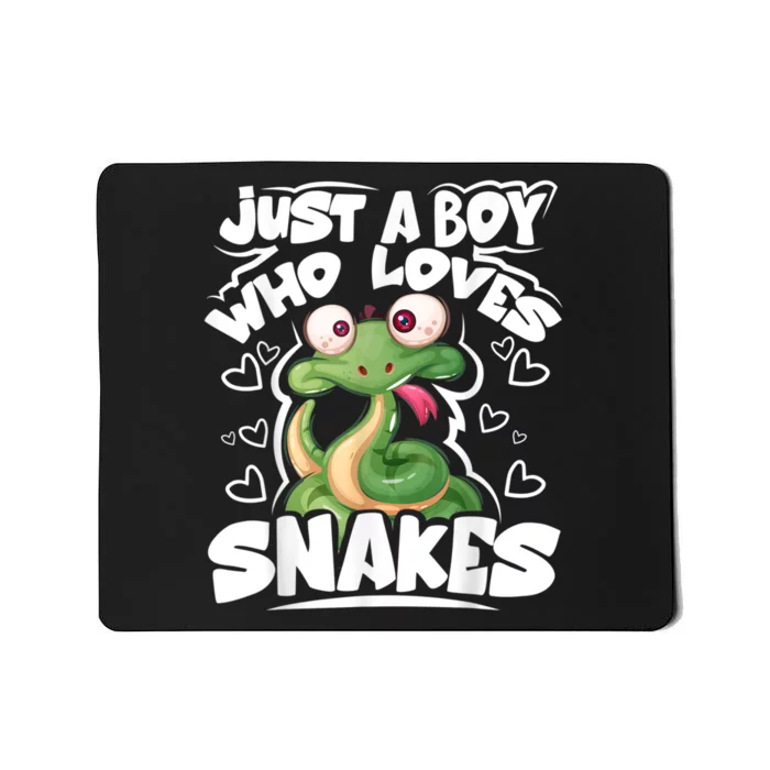 Just A Boy Who Loves Snakes Snake Lover Gift Mousepad