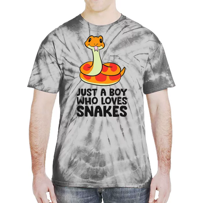 Just A Boy Who Loves Snakes Tie-Dye T-Shirt