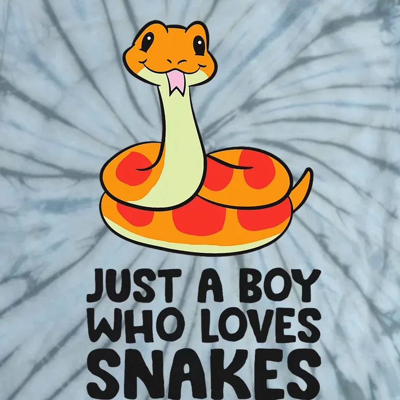 Just A Boy Who Loves Snakes Tie-Dye T-Shirt