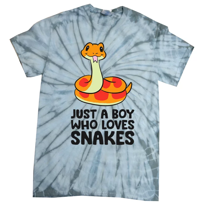 Just A Boy Who Loves Snakes Tie-Dye T-Shirt