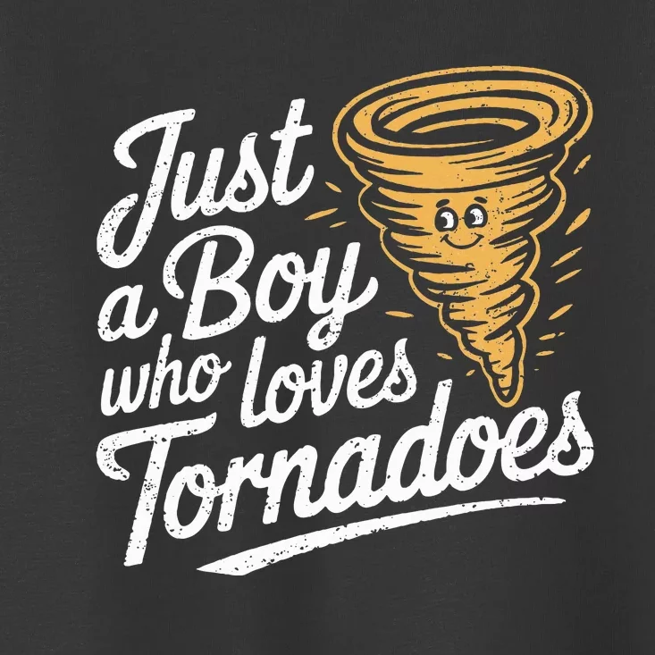 Just A Boy Who Loves Tornadoes Hurricane Weather Chaser Toddler T-Shirt