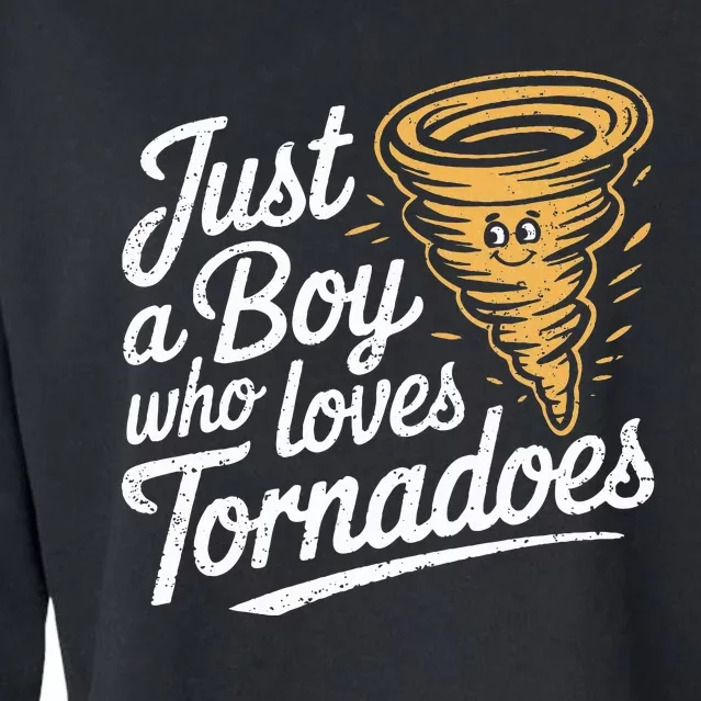 Just A Boy Who Loves Tornadoes Hurricane Weather Chaser Cropped Pullover Crew