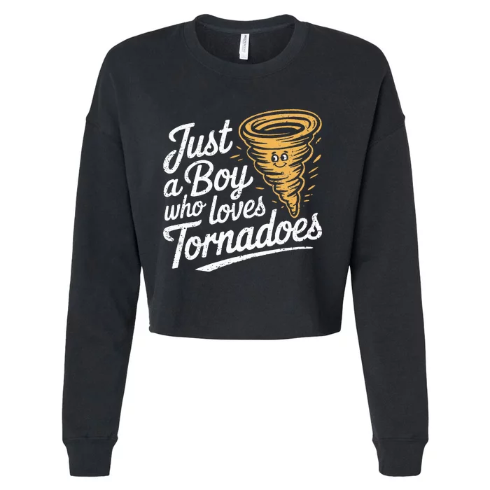 Just A Boy Who Loves Tornadoes Hurricane Weather Chaser Cropped Pullover Crew