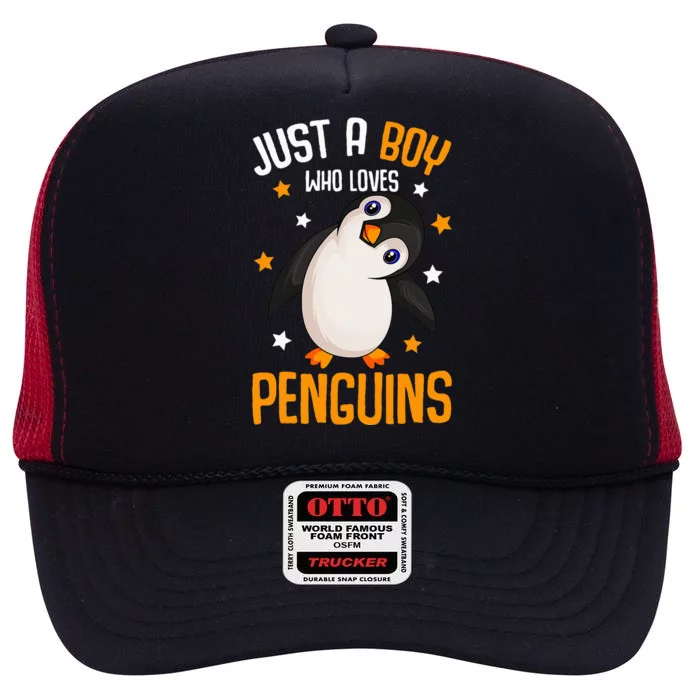 Just A Boy Who Loves Penguins Penguin Lover High Crown Mesh Trucker Hat